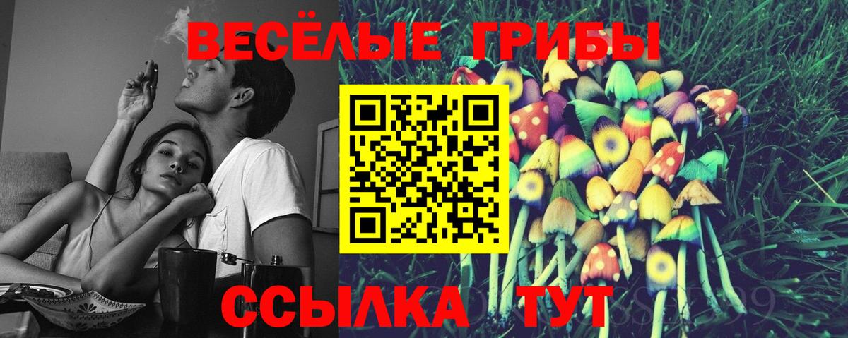 Галлюциногенные грибы MAGIC MUSHROOMS Пятигорск